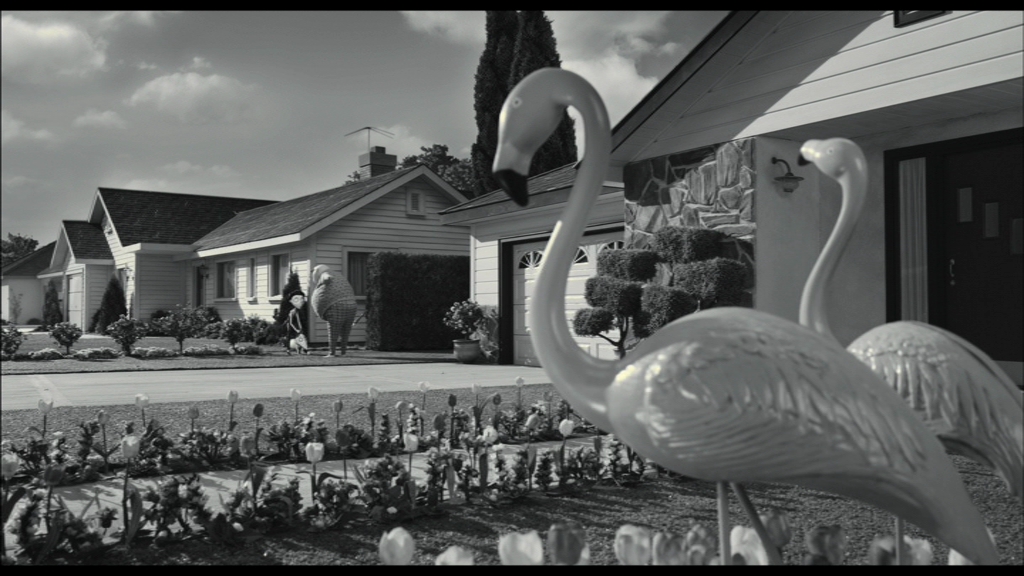 Frankenweenie-tulipes holandaises et flamands