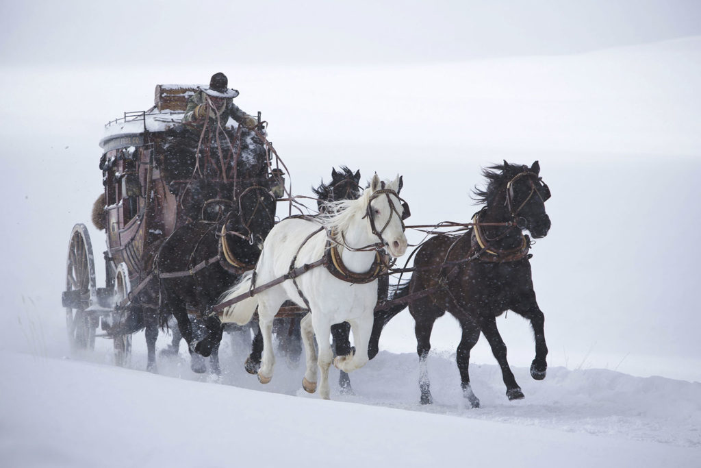 Hateful eight-01